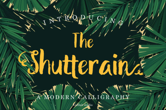 Discover The Shutterain: A Handwritten Font for Modern Web Design