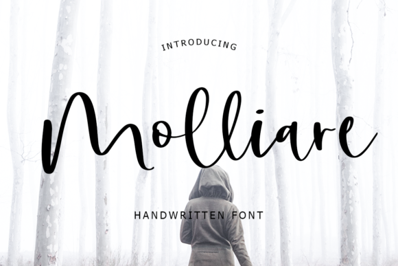 Molliare: A Script Font with Elegance and Personality