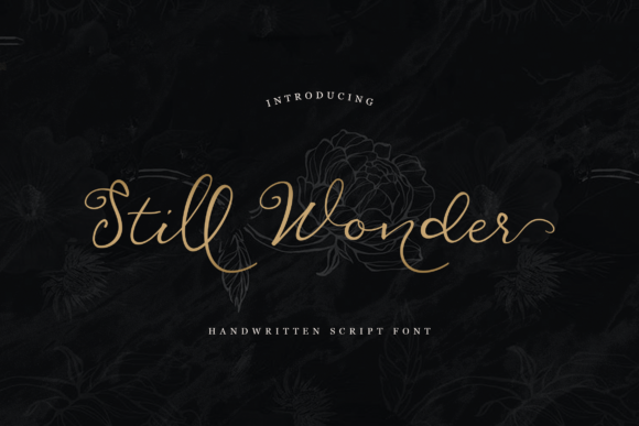 Still Wonder: The Elegant Script Font for Your Next Campaign
